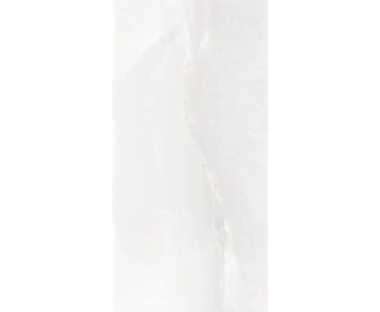 ONIX PEARL/60X120/EP-1